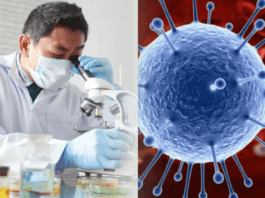 В Казахстане появился новый штамм коронавируса