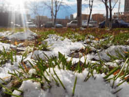 погода на апрель в Казахстане