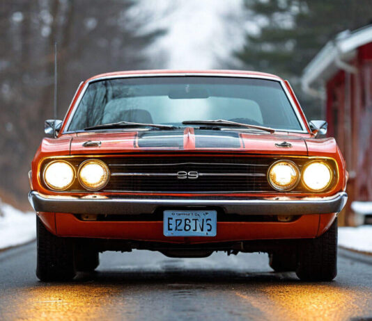 Тесла в степи, или электромобиль в Казахстане — экономия или головная боль? Разбор реалий и мифов авто